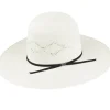 Keystone-Bailey Western Sale