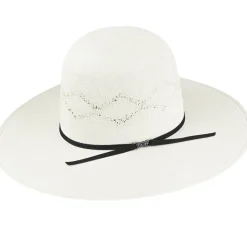Keystone-Bailey Western Sale
